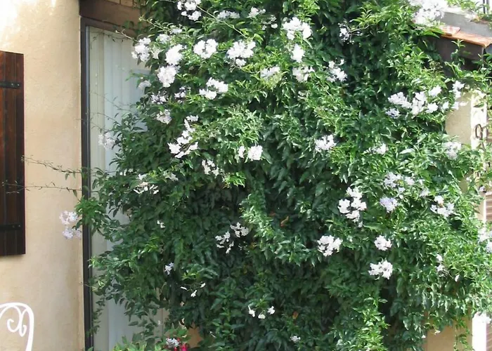 Les Sureaux 3* Le Pizou